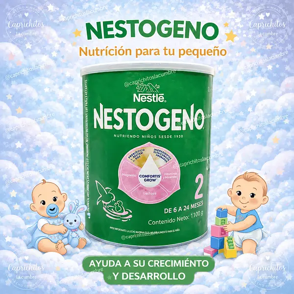 Nestógeno 2 Nutrición Infantil 1100g